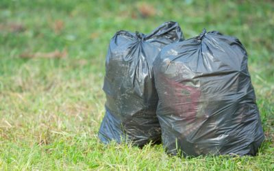 Why Waste Management is Necessary in Tampa